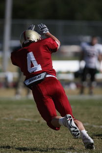 开云体育在线入口-柏林联盟期待主场优势，力争战胜对手守住三分，柏林联合主帅